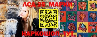 прущие крисы Будённовск