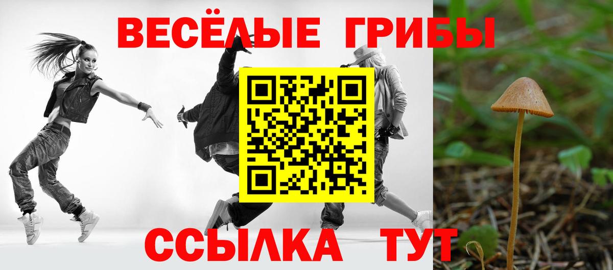 Псилоцибиновые грибы MAGIC MUSHROOMS Коркино